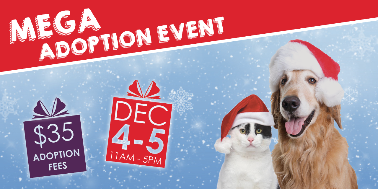 Brandywine Valley SPCA